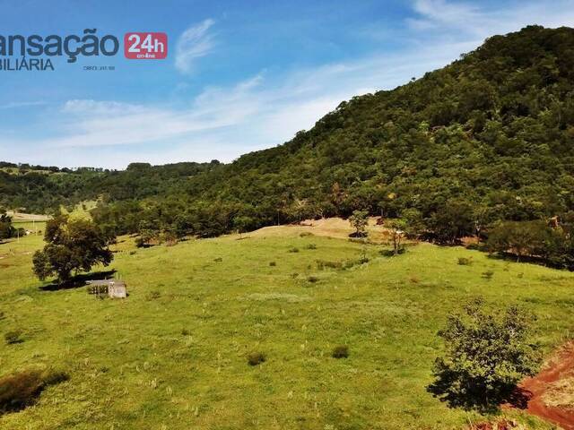 Chácara para Venda em Rifaina - 4