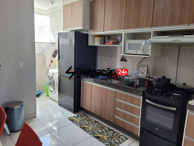 #1446 - Apartamento para Venda em Franca - SP - 2